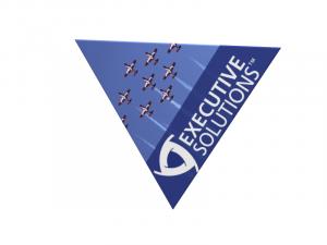 TF-2006 (2D) Flat Triangle Hanging Sign