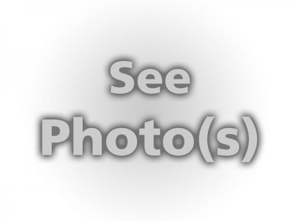 Sacagawea Portable Hybrid Display Photos